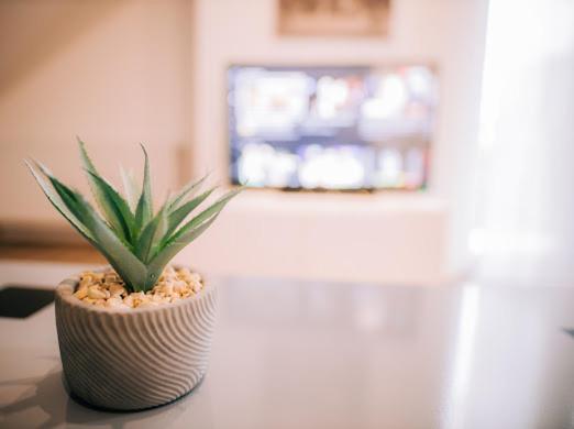 Apartman Aleksandar Lux Palić Exteriér fotografie