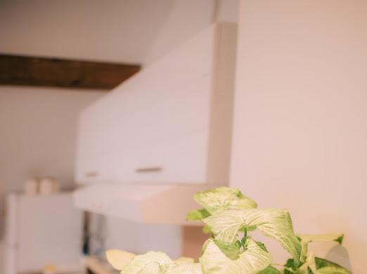Apartman Aleksandar Lux Palić Exteriér fotografie